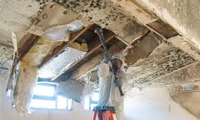 Best Mold Prevention Services  in Buchanan Dam, TX